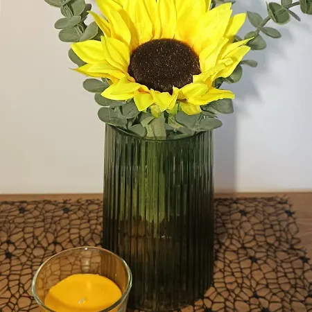 4star 'kata' - With Private Bathroom And Free Air-conditioned Summer Kitchen 3* Šarića Struga