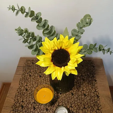 4star 'kata' - With Private Bathroom And Free Air-conditioned Summer Kitchen ゲストハウス